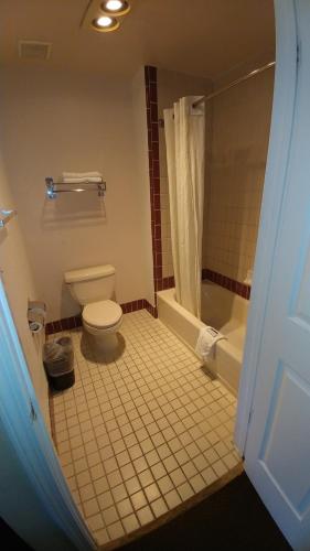Executive Inn and Suites Room Type - Standard King Room