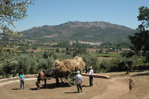 Quinta Do Vaqueirinho - Agro-Turismo