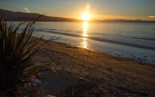 pantai, Pohara Beach TOP 10 Holiday Park in Golden Bay