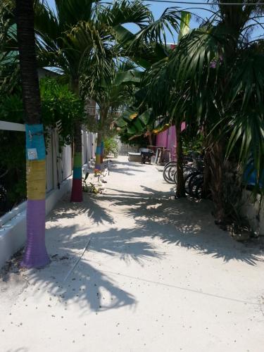 taman, Sea n sun Guest House in Caye Caulker