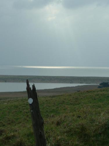 The Pebbles - image 4