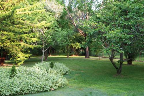 A környék, Clifton Gardens Bed & Breakfast - Orange in Clifton Grove