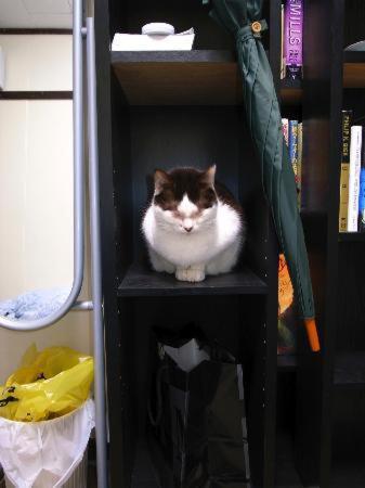 西早稲田駅周辺のおすすめホテル 旅館 宿泊の格安予約 料金比較 Stayway