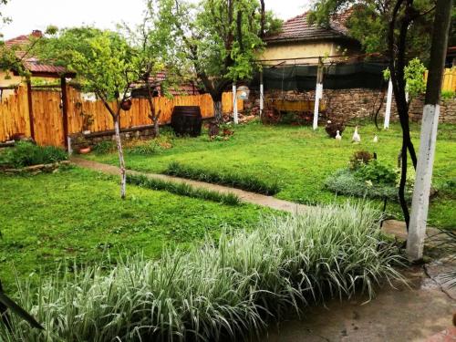 Divna Guest House - image 11