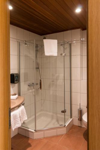 Park Hotel Kelmis - image 6