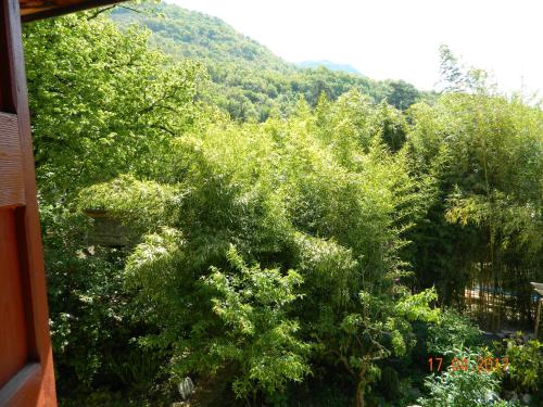 Apartment with Garden View