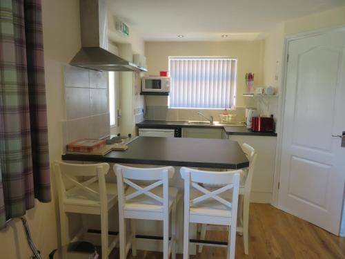 Kitchen, Apple Tree Corner Apartment in Yate