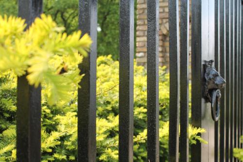 Schaluinenhoeve - image 12