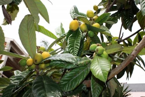 B&B La Villetta Gela