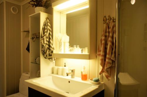 ห้องน้ำ, Berge & Laila's Private Apartment in ฟอร์ด