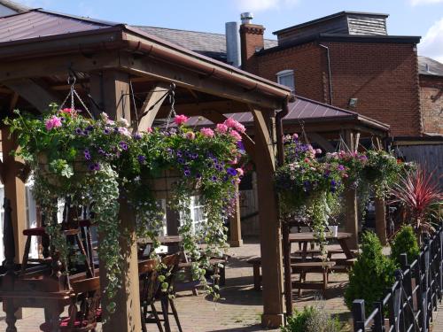 The Bell Hotel - image 11