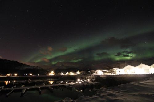 Arctic Seasport - main image