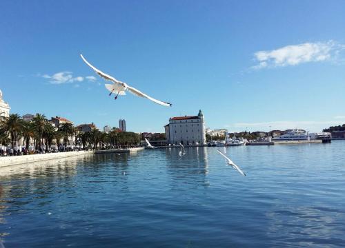 Apartment Oli, Split