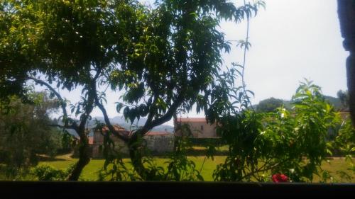  Casa Velha, Pension in Cabril