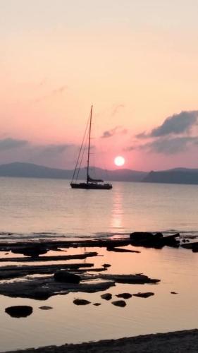  Hotel Petras Beach, Sitia bei Zakros