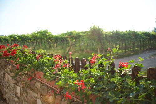 Agriturismo Albarello 4