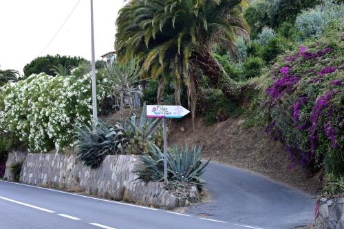 Agriturismo Un Mare di Fiori