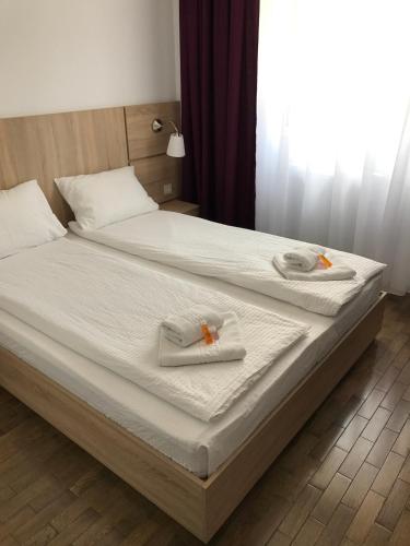 Pensiunea Otopeni in Bucureşti