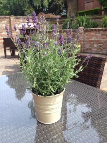 To`n Schlagboom - main image