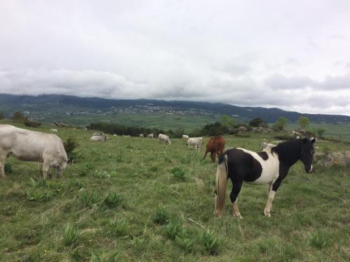 Le Jardin de Font Romeu