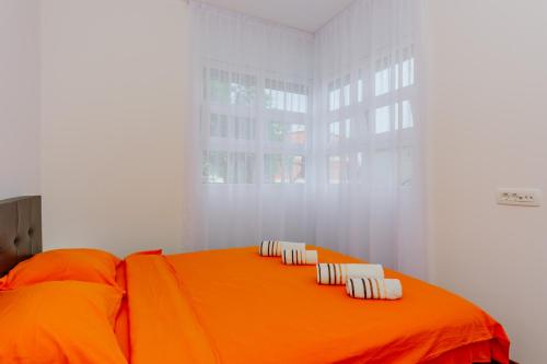 Apartments Bujkovic - image 5