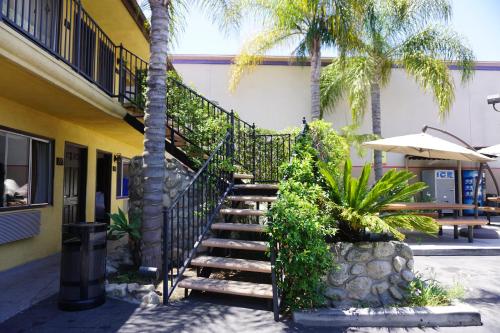 Casa Bella Inn Downtown LA - 정원