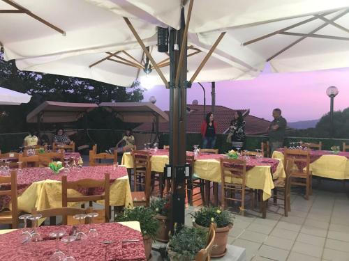 Casa Vacanze Primula palinuri in Montano Antilia