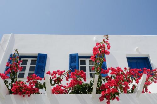  Casa Flora Antiparos in Antiparos