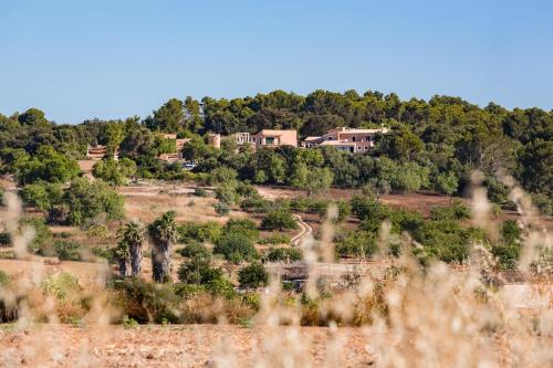 Agroturismo Ses Vistes - image 7