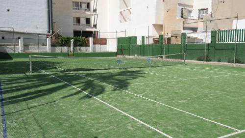 Palmeral de Torrevieja - image 5