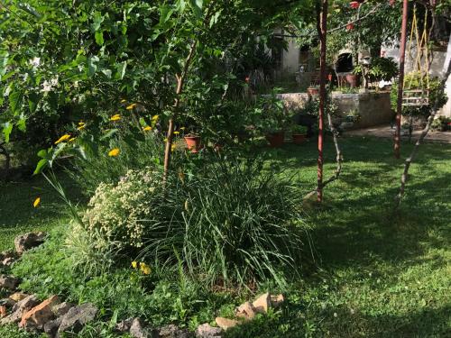  Green Quiet Apartments in Vodice