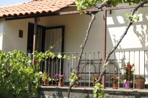 Casa vacanza Etna Evergreen, Unterkunft in Piedimonte Etneo