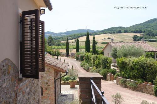 Kilátás, Agriturismo Signorini in Lajatico