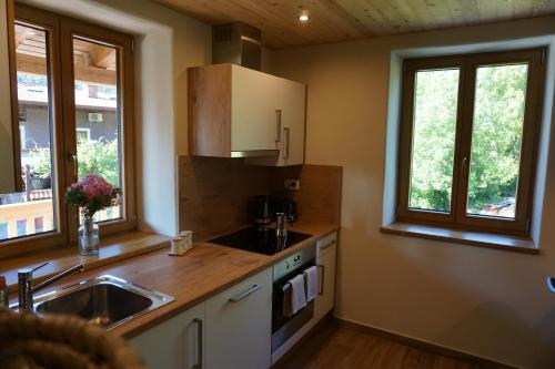 ecoHouse FURLAN - Apartment PINJA