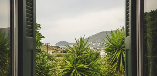 Villa Pergola Andros