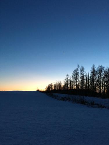 View, Notrack in Mount Yotei