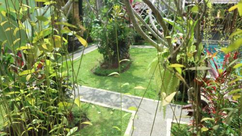 Chez Ida, Ubud (photo 8)
