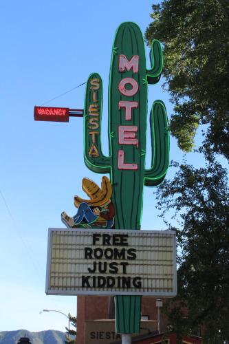Siesta Motel - image 7