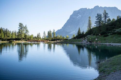 Pension Margret - image 13