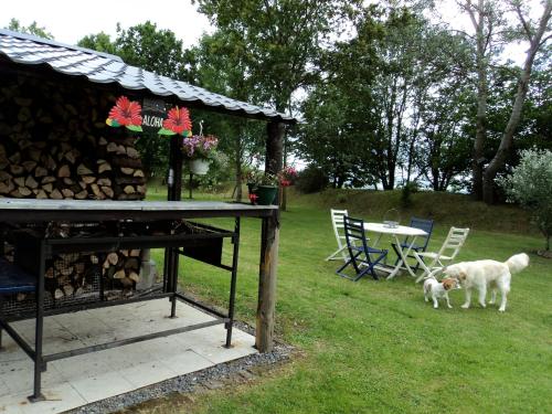 B&B La Niouche - image 2
