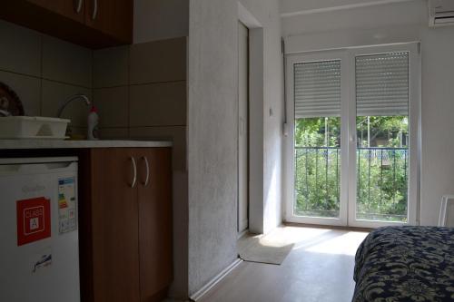 Vila Roza, Star Dojran (fotografie 8)