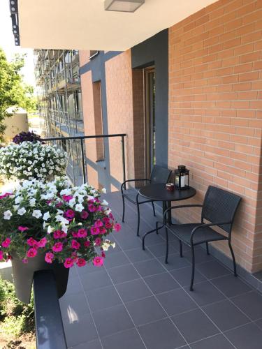 Millennium Manufaktura Green - image 12