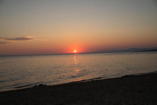 Star Paradise - image 7