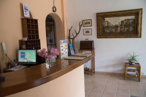 Star Paradise - image 12