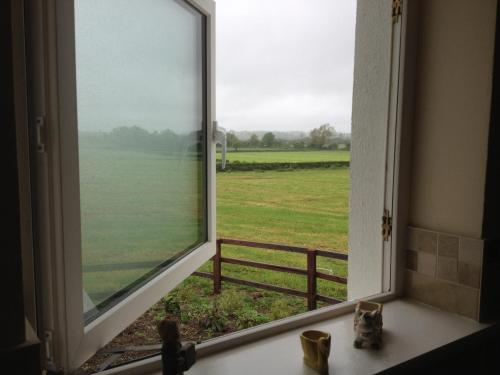 Ballindrum Farm B&B - image 2
