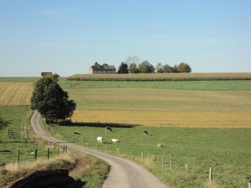 B&B La Niouche - image 9