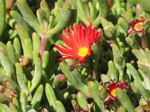 Hotel-Camping Takha Takha