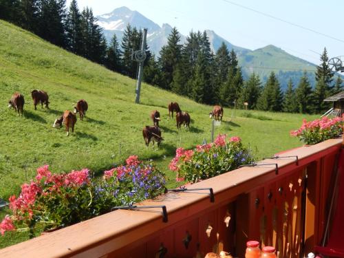 Restaurant La Vieille Ferme