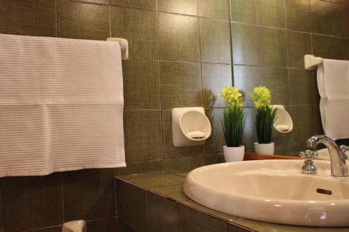 B&B Pisani, Palermo (fotografie 5)
