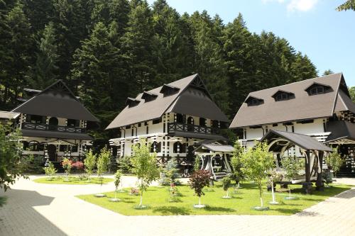 Complex Lions Bucovina - image 4